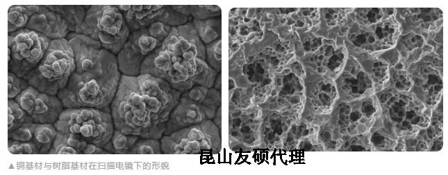 孝感蔡司孝感扫描电镜